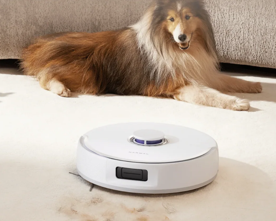 Robotic vacuum cleaner on a carpet with a dog lying nearby